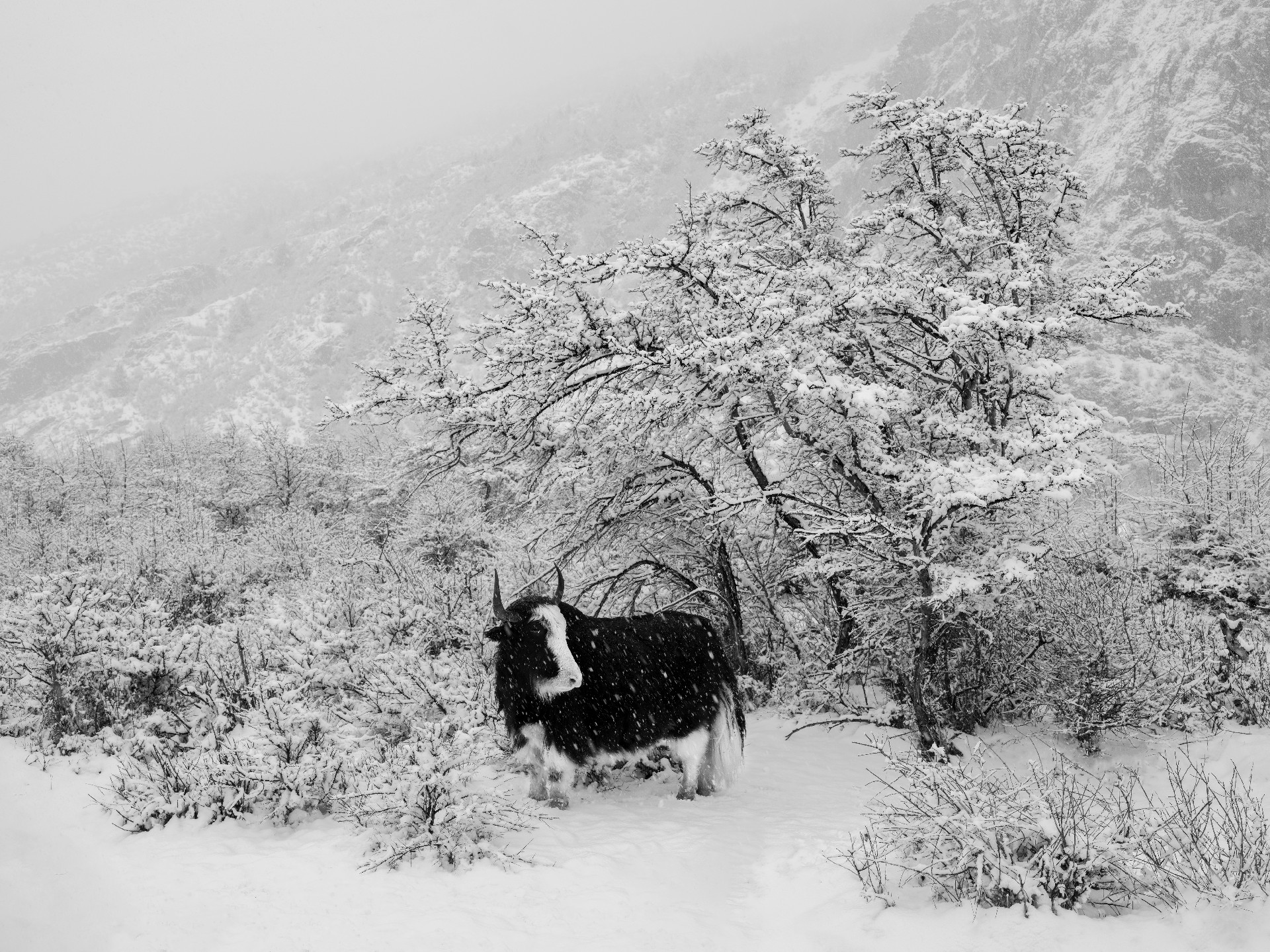 TSCF0431 Master 拷贝.jpg