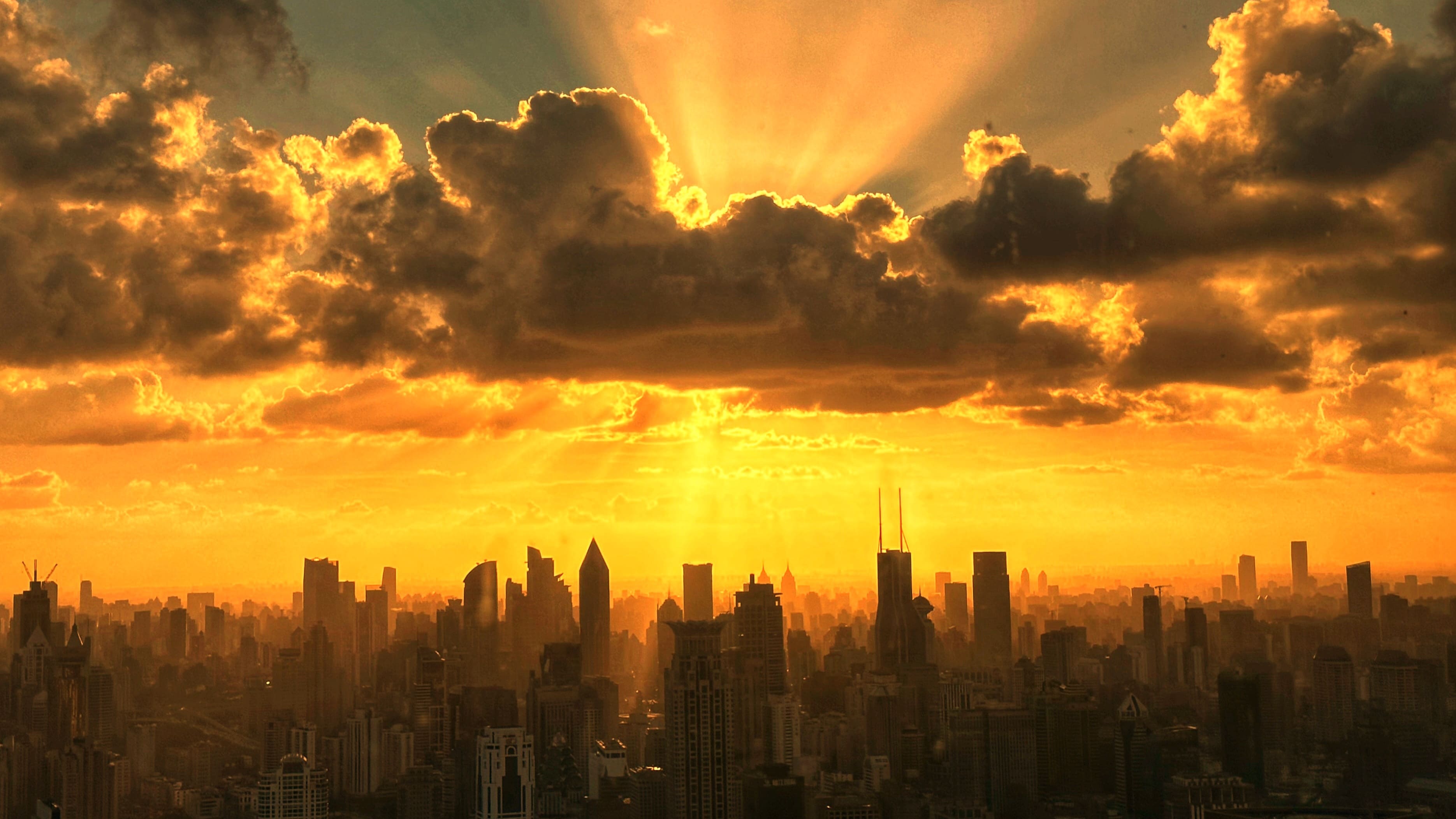 鎏金律动、活力交响