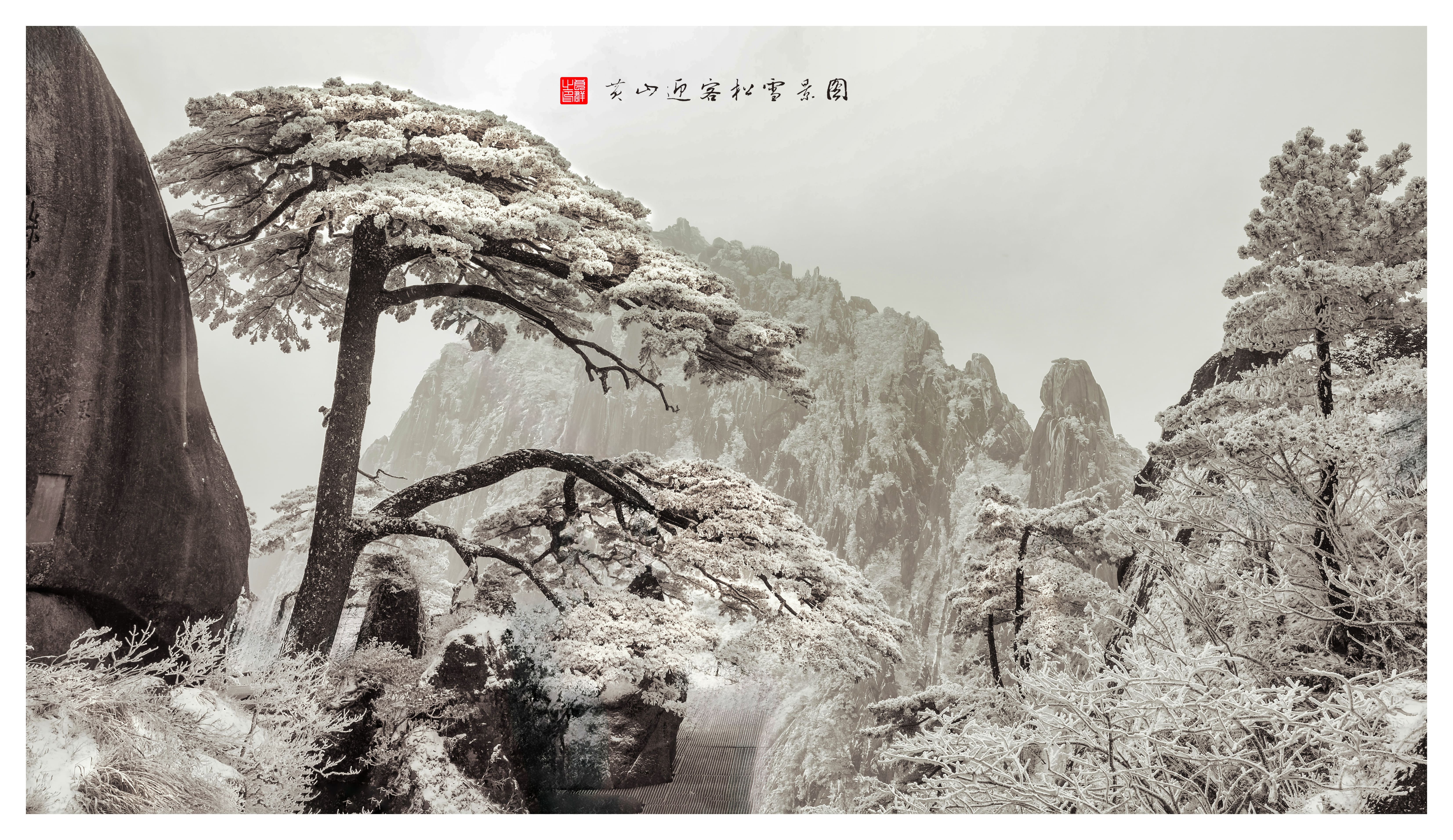 黄山迎客松雪景图