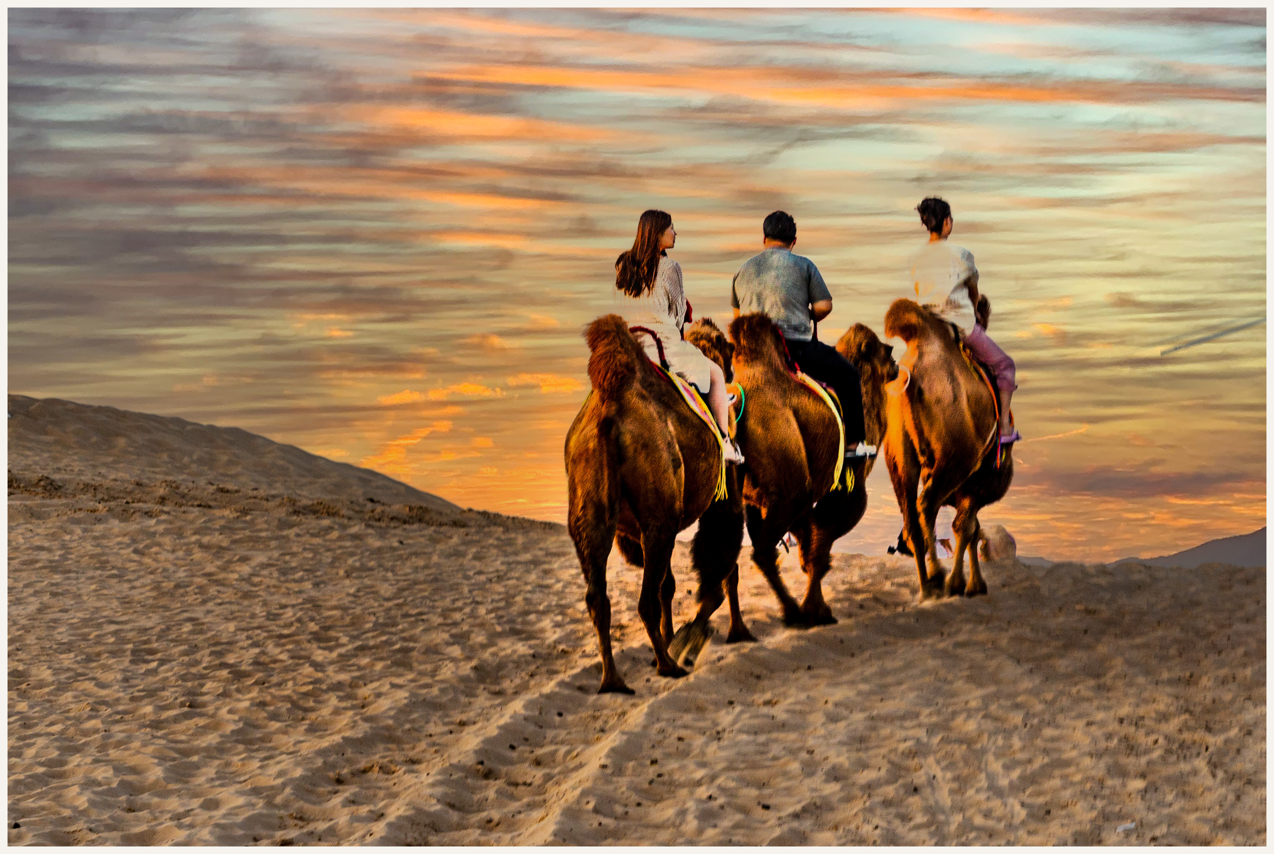 奈曼沙漠夕阳驼铃叮当