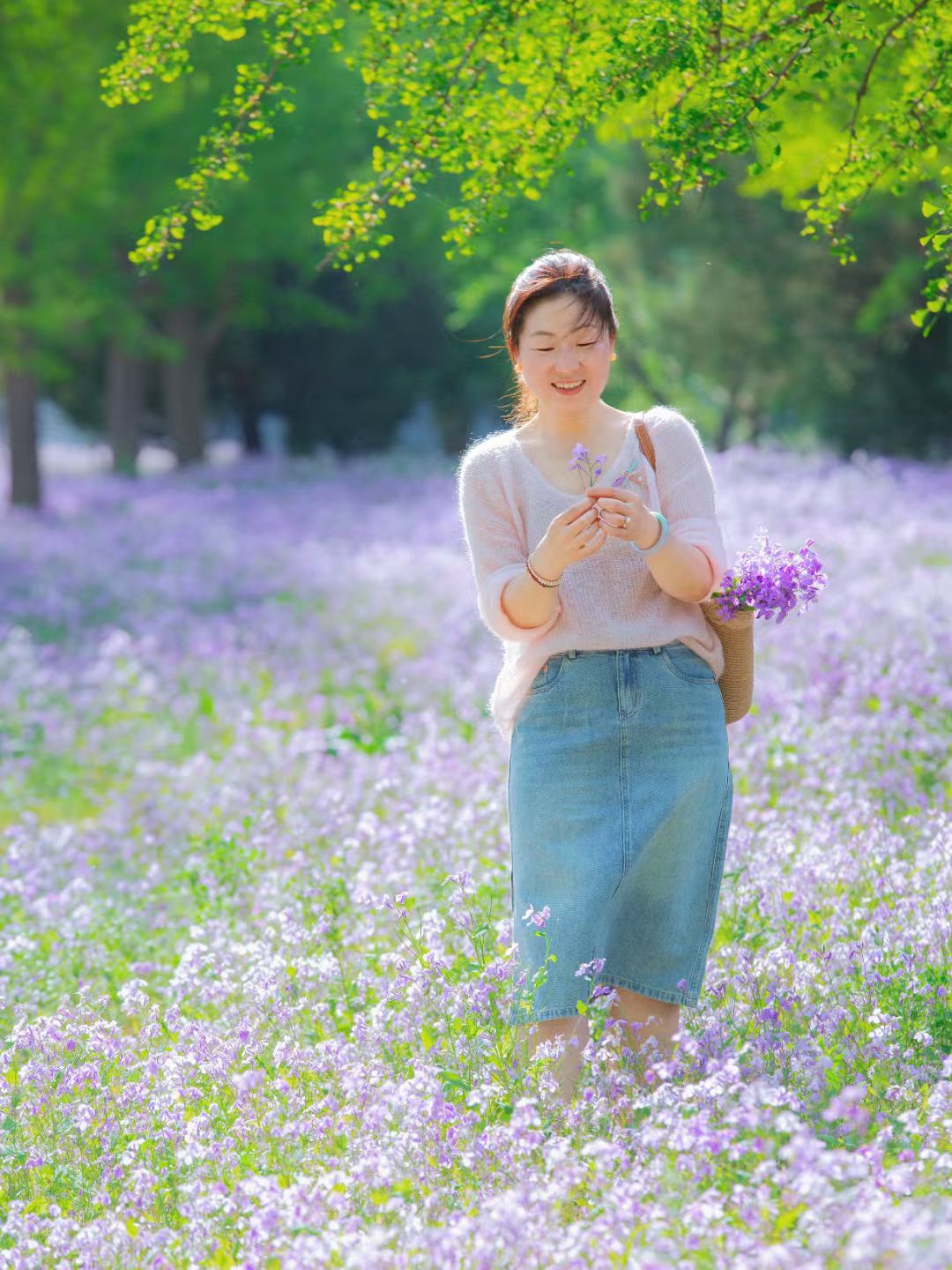 天坛公园二月兰花海