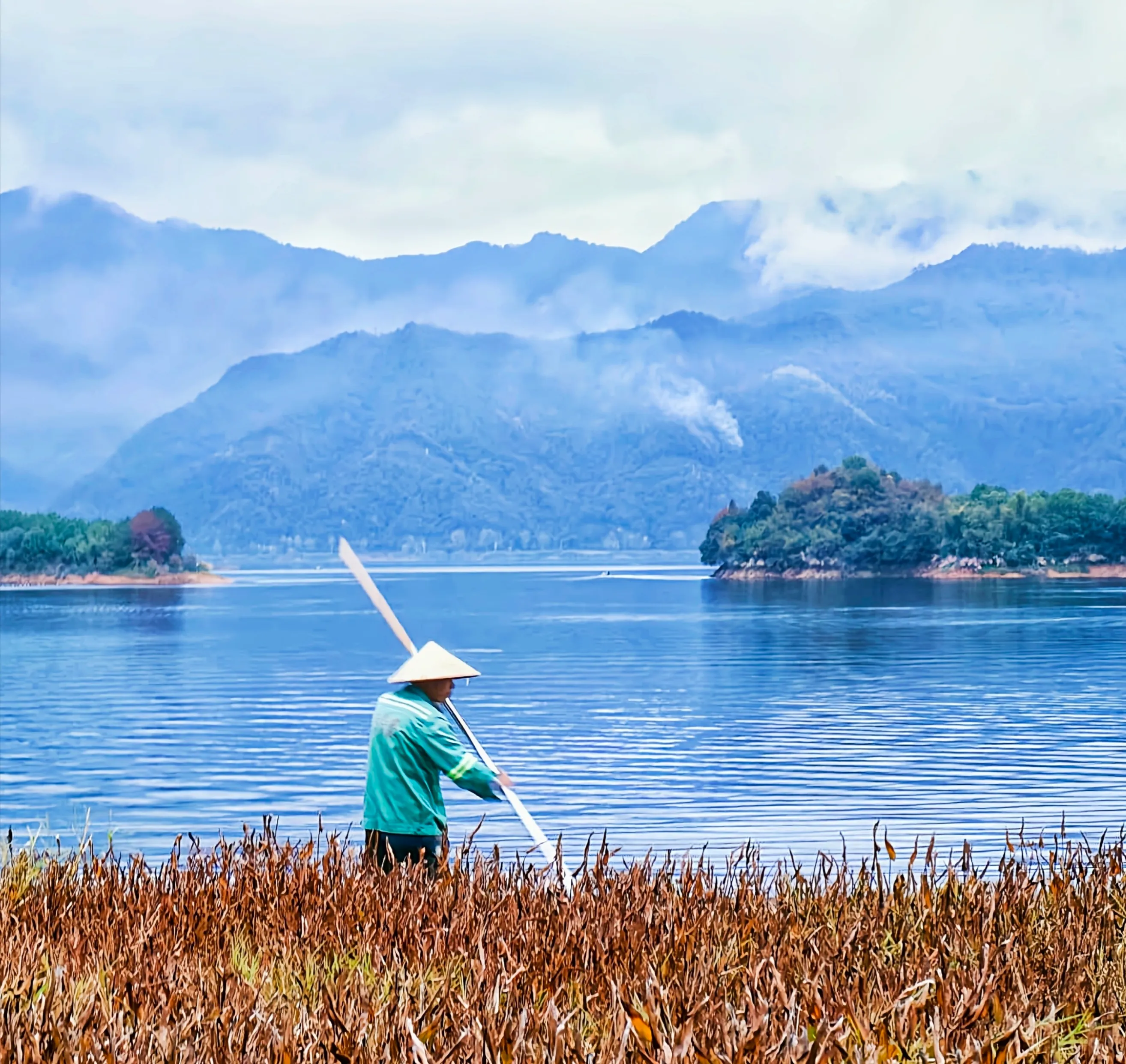 青山绿水的守护者